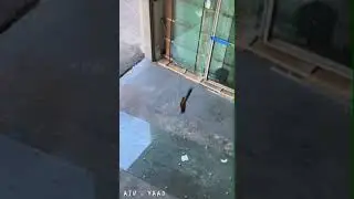 #yaad #ajn #Shorts #ShortsTrend #ShortsChallenge #ShortsVideo #TrendingShorts #ShortsViral #viral