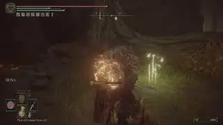 Elden Ring DLC killing the unkillable monsters