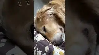 遊びたいアムロと眠いキッカ