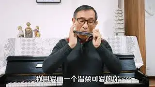 口琴吹奏《画你》，很火的网红歌曲，旋律简单优美，特别朗朗上口