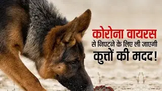 Kutte pta lgain ge corona virus ka |  #dog #corona #shorts #viral #covid #short #covid19 |