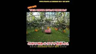 가족도 내맘대로 안되는데 작업인부는? p250908