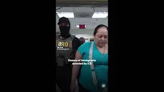 Ice arrests #trump #ice #arrest #migration #mexican #news #crime #usa #lawenforcement