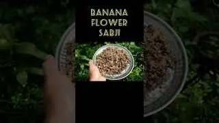 Chamchamit : Goan  food channel