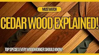 Types of Cedar Wood: Identifying Key Species for Woodworkers