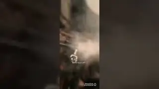kgf 2 troll shorts