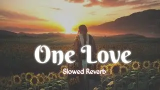 One love - Shubh | Slowed Reverb | Aatrangi Lofi Music