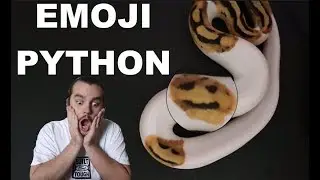 Emoji Ball Python || Smiley Face Snake