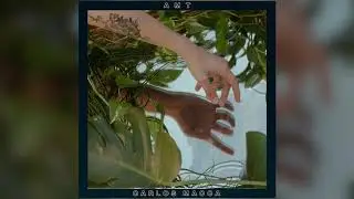 Carlos Macca &ndash; Al Mal Tiempo (Official Audio)
