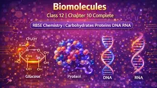 Biomolecules Class 12 | Chapter 10 Complete | RBSE Chemistry | Carbohydrates Proteins DNA RNA