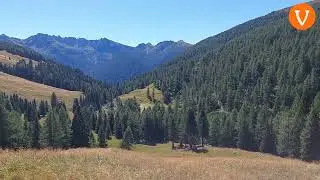 Dalla Val Campelle alla Malga Montalon lungo il sentiero SAT 362