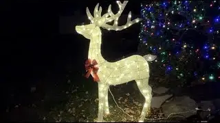 Beautiful set of deer for Christmas decorations!