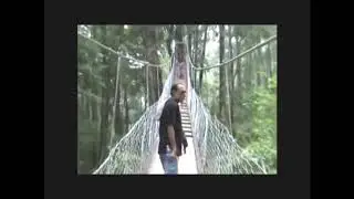 Canopy walk at  Lolegaon in Kalimpong sub division.