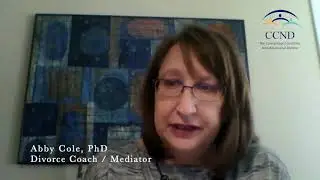 How does divorce coaching differ from individual therapy?