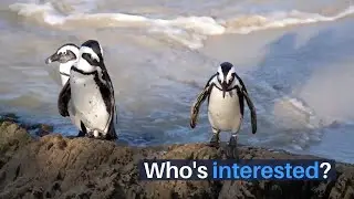 PerformancePlus Who are the  Interested Parties in Your Business?