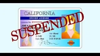 Lyft Driver Had License Suspended 17 TIMES (And Was STILL Approved to Drive on Platform)!!!