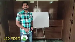 Explanation Of Uric Acid | Description | Pathology | Diagnose | Interpretation || LabX