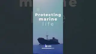 Protecting Our Oceans with Marine DEF: A Cleaner Future Starts at Sea 🌊⚓