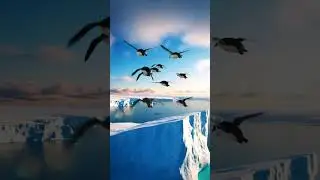 Kids adventure 😍 #shorts #viral #subscribe