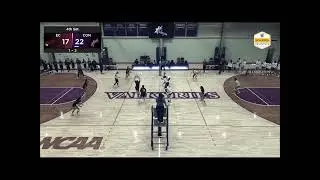 Brianna Beyerle college Highlights