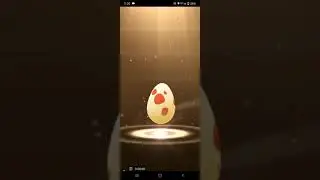 12. km egg hatching#pokemon #pok&eacute;mongo #shorts #egg