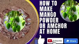 Amchur Powder Recipe | How To Make Raw Mango Powder Easy homemade | #HomeBudget #shorts