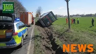 Reh l&ouml;st Notbremse aus, Rebhuhn in Gefahr, neue WILD u.m. &ndash; DJZ-News 16/2019