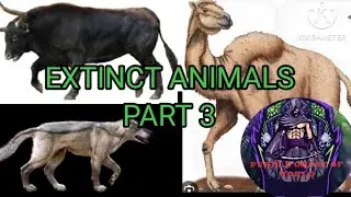 EXTINCT ANIMALS (PART-3)Auroch, Camelops and Dire wolf