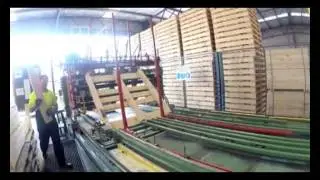 Rodpak - The Pallet and Packaging Professionals