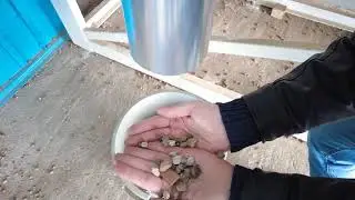 #hazelnut #destoner #destoner for hazelnut  #Fındık Taş Ayırıcı #hazelnut processing machine