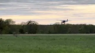 Carl Goldberg RC Piper Cub, level flight