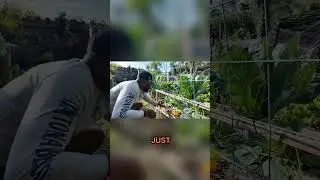 Satisfying Transformation!