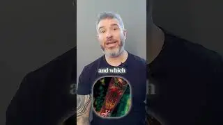 BEING FOUND BY YOUR TATTOO STYLE!