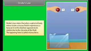 Mechanical Properties of Fluids Class 11 Physics (English)