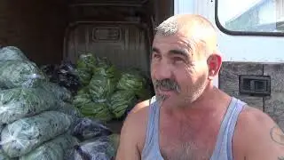 Изгор цените на зеленчукот го испразнија и пазарот на големо во Струмица 27.09.23