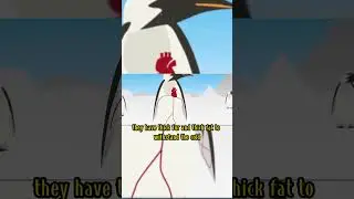 Why do penguin feathers never freeze?