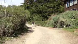 Owl trail slide ranch