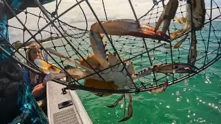 BOAT, CRABS, NO SQUID, HERRING #squidfishing #fishing #crab #boat