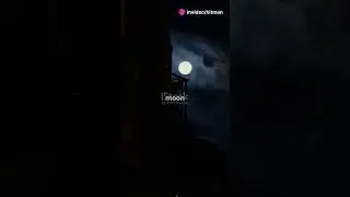 What If the Moon Vanished? 🌕