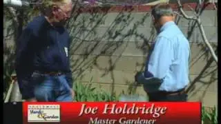 How To Use Plastic Row Covers & Wall Of Water For Plants