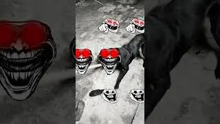 angry 👿😡 dog #viralvideo #dogvideos #automobile #dogloversdog #sytam