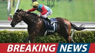 Dazzling Dame WINS Busanda by 11.5 LENGTHS! (New Kentucky Oaks Favorite Emerges)। USA NEWS TODAY