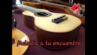 MELOD&Iacute;A A TU ENCUENTRO - V&Iacute;DEO DEDICATORIO