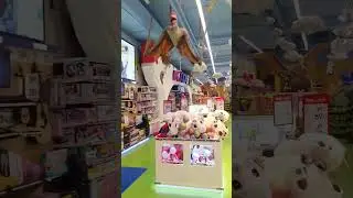 Toy Shop in Emirates Mall Dubai.....