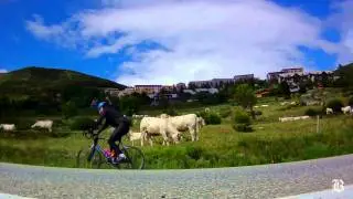 Biking the famous climbs of the Tour de France