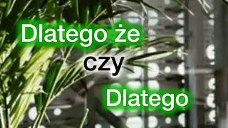 Dlatego że VS dlatego. Разница в использовании слов.