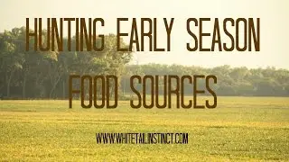 Deer Hunting Over Soybeans, Early Season Hunting Strategies