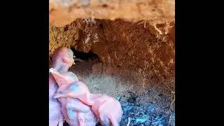 Anak burung belum ada bulu nya #birds #video