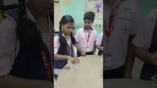 Touch &Tell-Properties of Materials #touch #tell #pinkz #properties #materials #students #activity