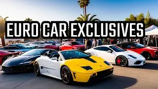 Exclusive Big SoCal Euro Car Show Highlights